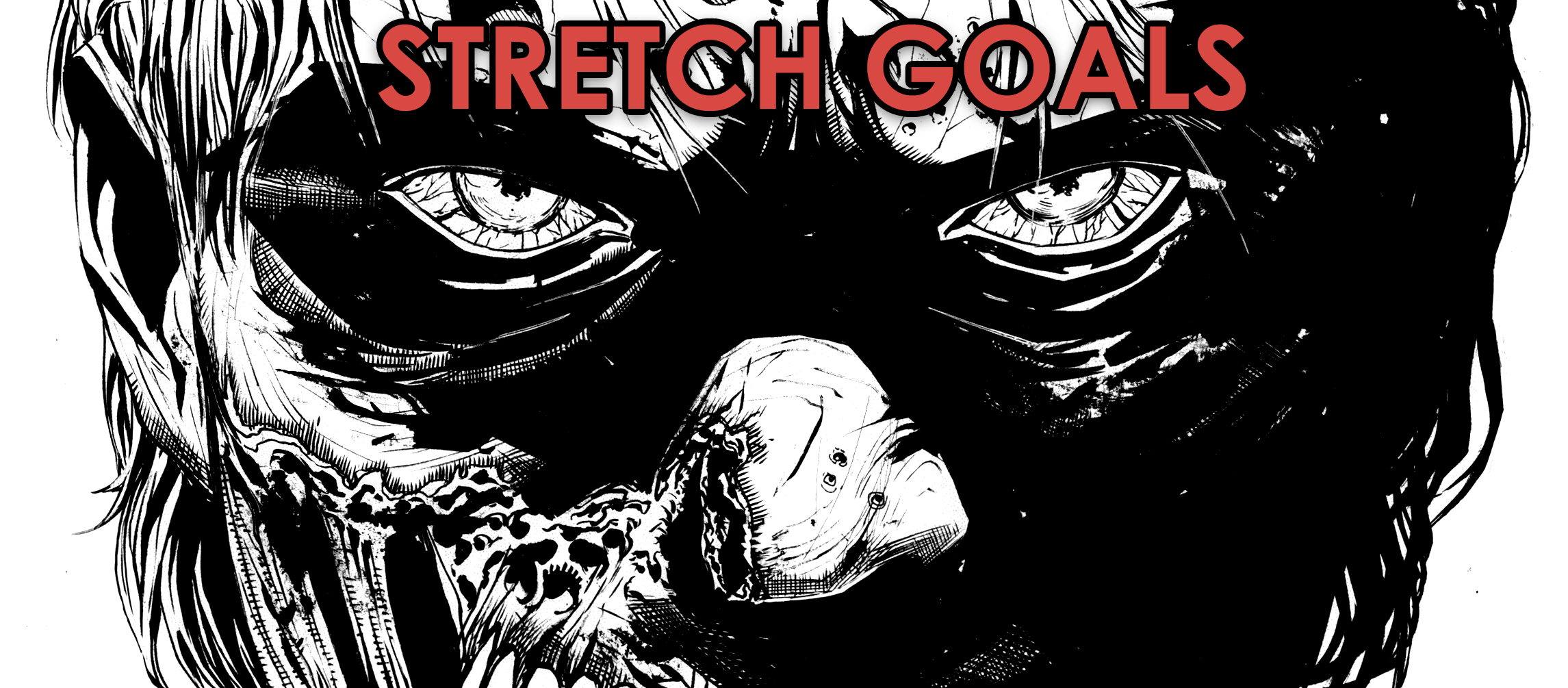 Stretch Goals Stretch Goals